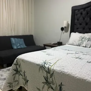 Mona Master Apartment Kingston